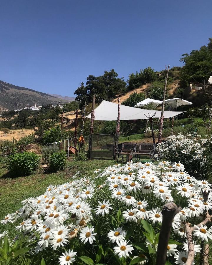 "Casa Ibero" Bubion, Alojamiento Turistico Rural Exteriér fotografie