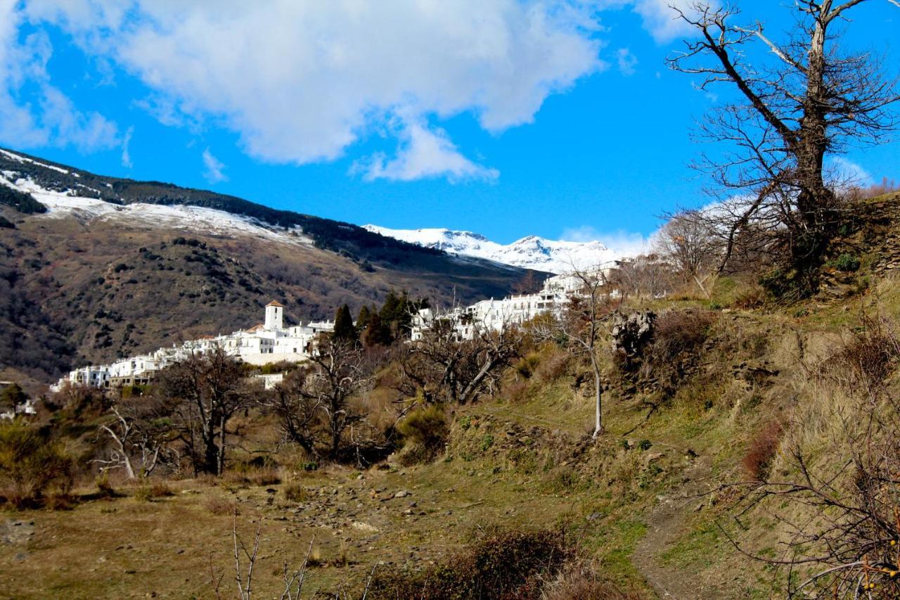 "Casa Ibero" Bubion, Alojamiento Turistico Rural Exteriér fotografie